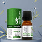 Rosemary Oil 10ml